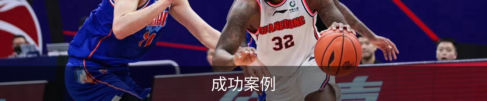 成功案例