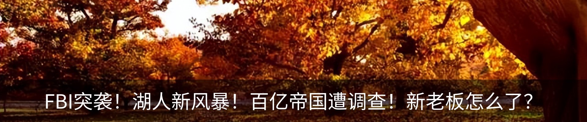热点资讯